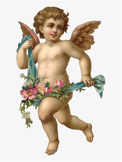 Cherub Angel Angel Baby Transparent Background Png Clipart Hiclipart