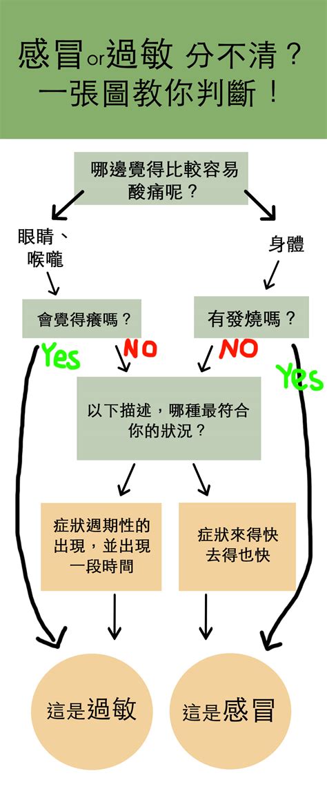 過敏感冒怎麼分辨？1 張圖表超簡易，分辨過敏和感冒的差別