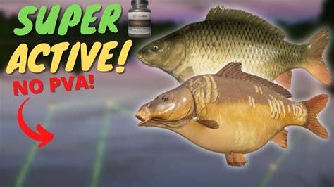 Super Active Carp Spot In Amber Lake No Pva Russian Fishing