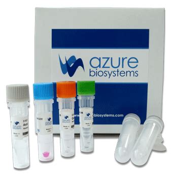 Azurespectra Fluorescent Antibody Labeling Kits Azure Biosystems