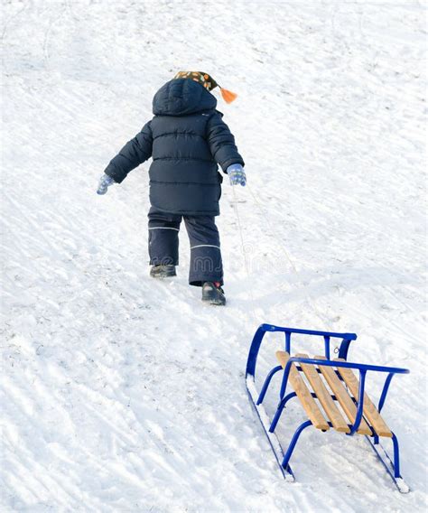 Little Child Pulling A Blue Sled On The Snow Stock Photo Image Of