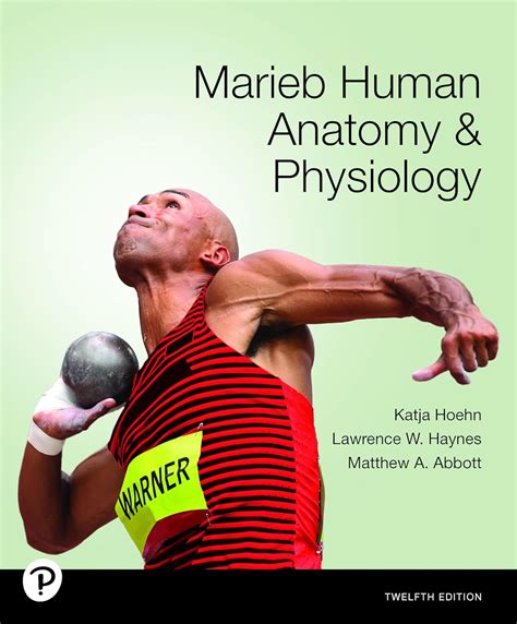 Amazon Marieb Marieb Human Anatomy Physiology Ebook Hoehn