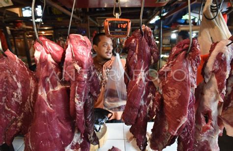 Tekan Harga Daging Sapi Antara Foto