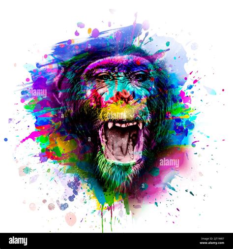 Graffiti monkey Cut Out Stock Images & Pictures - Alamy