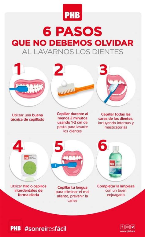 Como Cepillarse Los Dientes Para Niños Paso A Paso Mibbmemima ️