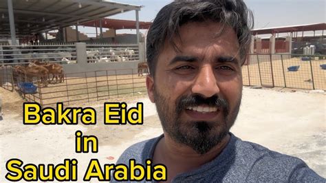 My First Vlog Bakra Eid In Saudi Arabia Eid Ul Adha In Saudi Arabi