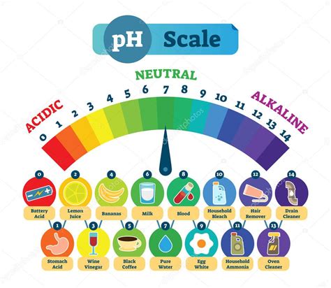 Escala De Cido Ph Diagrama De Ilustraci N Vectorial Con Ejemplos