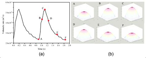 A Womersley Velocity Profile Used As The Inlet Boundary Condition