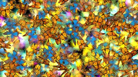 Free Motion Graphic Virtual Background 🦋 Butterflies Fluttering Wings