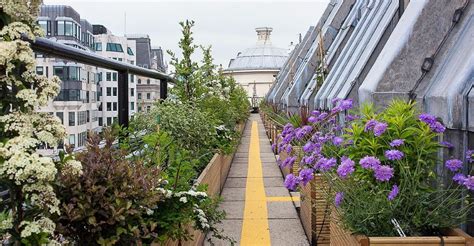 11 Of London's Top Rooftop Gardens