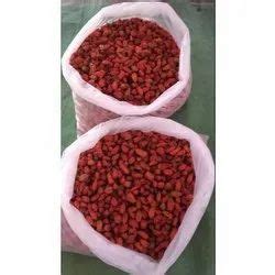 Dry Red Chilli And Coriander Seed Manufacturer Matron Enterprise Nagaon