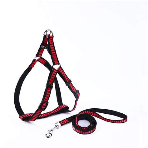 Dog Outdoor Harness And Leash Set — Soco Pet Bed