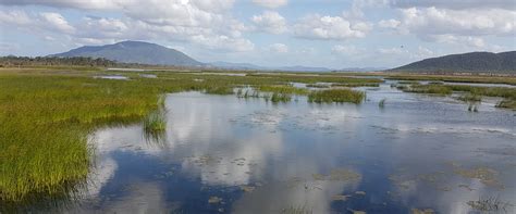 Snapshot Of Australia Ramsar Listed Wetlands