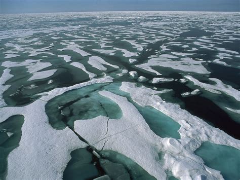 壁纸1024x768地球瑰宝 大尺寸自然风景壁纸精选 第六辑 Solid Pack Ice And Surface Melt Water