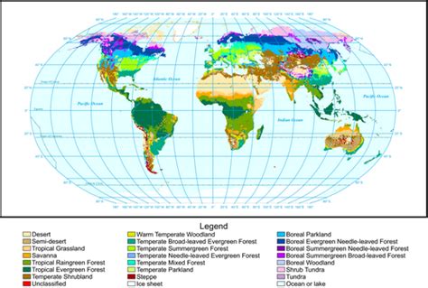 Global Vegetation Patterns Of The Past 140 000 Years Allen 2020