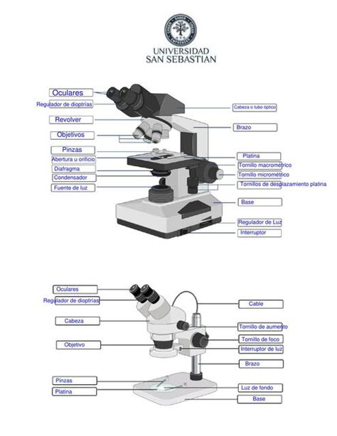 Laboratorio Microscopios Esquemas Resuelto Geraldine Vald S Udocz