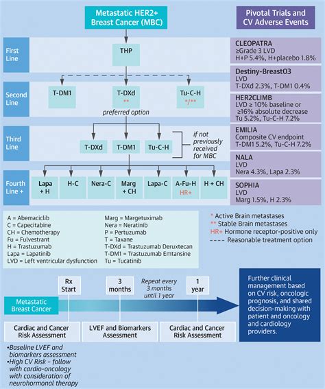 How To Manage And Monitor Cardiac Dysfunction In Patients With