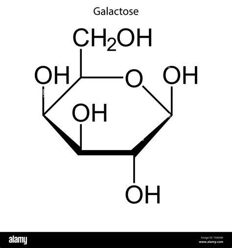 Monomer Diagram Of Galactose