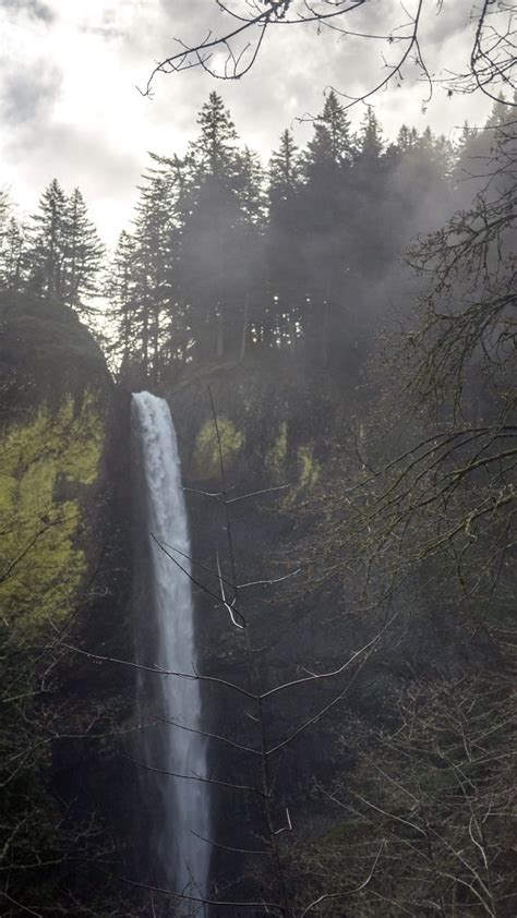 Imagen Gratis Cascada R O Hierba Paisaje Naturaleza Rbol Agua