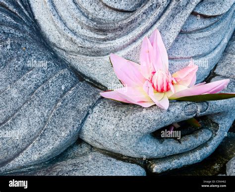 Buddha Holding Lotus Flower