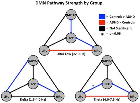 Functional Connectivity In The Default Mode Network Of Adults With And Download Scientific