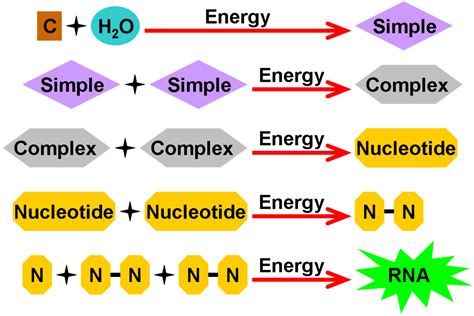 Does Abiogenesis Require Magic Hubpages