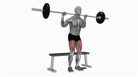 Mastering Barbell Bench Squats A Beginner S Guide To Building Strength