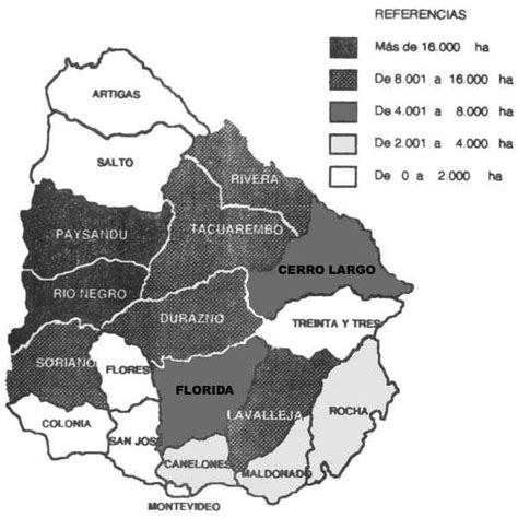 4 Alcances de la forestación en Uruguay