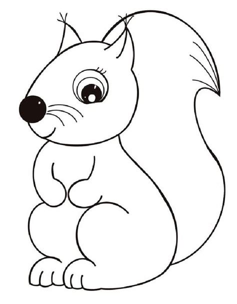 20 Squirrel Coloring Pages Free Pdf Printables NBKomputer