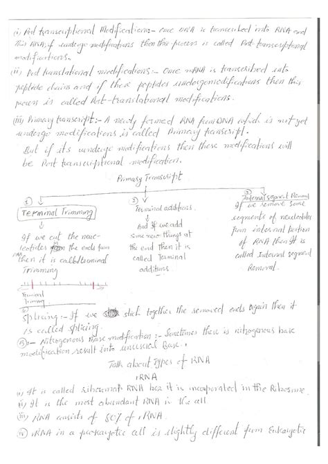 SOLUTION Biochemistry Dna Transcription Dr Najeeb Handwritten Notes