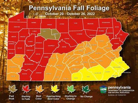 Fall Foliage Peak About To Fade Across Much Of Pennsylvania Weekly