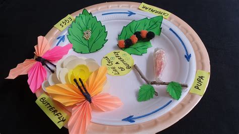 Life Cycle Of A Butterfly 🦋 From Caterpillar To Butterfly