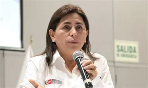 Ministra De Salud En Dos Semanas La Curva De Casos De Dengue Tiene