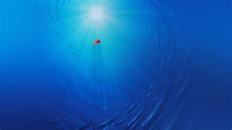 aq58-finding-dory-disney-nemo-cute-wallpaper