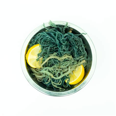 Irish Sea Moss (Green) - St. Lucia - NY Spice Shop - Buy Online