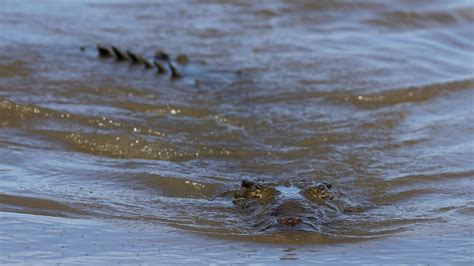 Older Sister Proud Of British Woman Who Fought Off Crocodile Attacking Twin In Mexico Uk