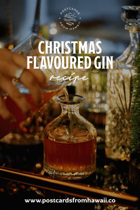 How To Make Christmas Flavoured Gin Infused With Christmas Spices With