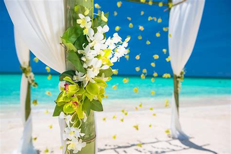 Beach Weddings: Inspiration, Venues & Expert Tips | SANDALS