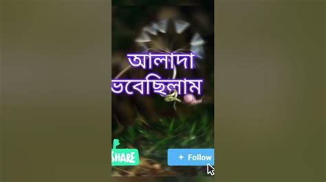 যাকে আমি সবার থেকে আলাদা ভেবেছিলাম আজ সে বুঝিয়ে দিলো সেও সবার