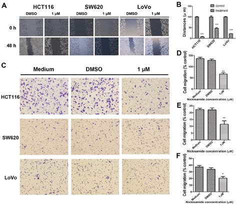 Niclosamide Decreases The Migration Of Hct Sw And Lovo Colon