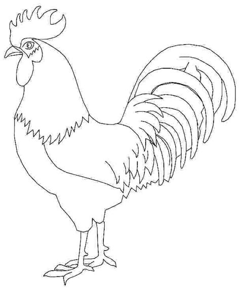 Rooster Coloring Pages For Adults At Free Printable Colorings Pages To Print