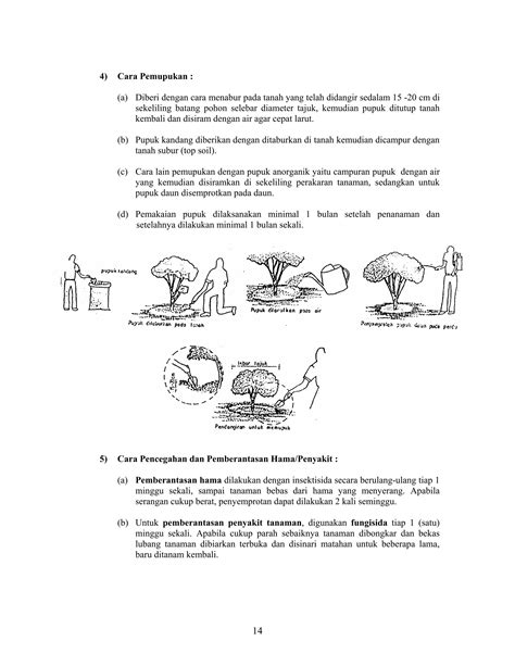 Tatacara Pemeliharaan Tanamanlansekap Pdf