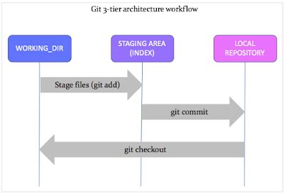 Git Basic Terms And Commands Explained