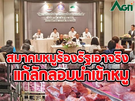 สมาคมหมูร้องรัฐเอาจริง แก้ลักลอบนำเข้าหมู Agriplusnews