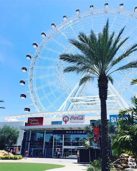 The Coca Cola Orlando Eye Is Now The ICON Orlando Orlando, 53% OFF