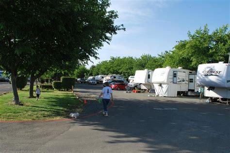 Auburn Gold Country Rv Park Reviews And Photos Ca Campground