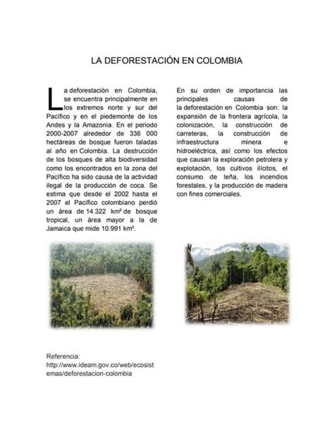 La Deforestación En Colombia Pdf