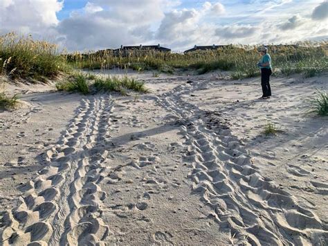 Caswell Beach Sea Turtle Nests Markets And Waterspouts Oh My