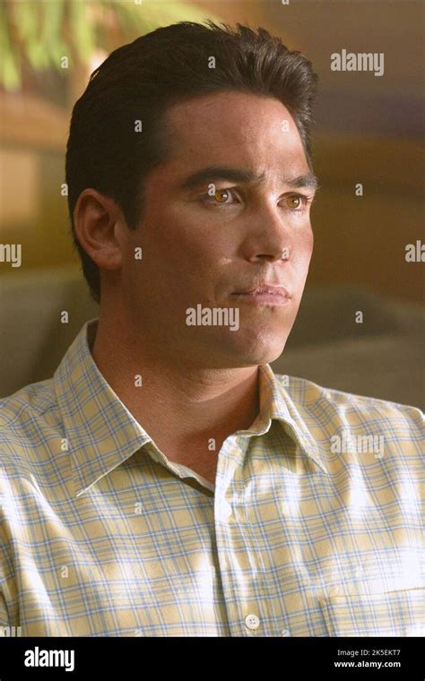 DEAN CAIN, THE PERFECT HUSBAND: THE LACI PETERSON STORY, 2004 Stock ...