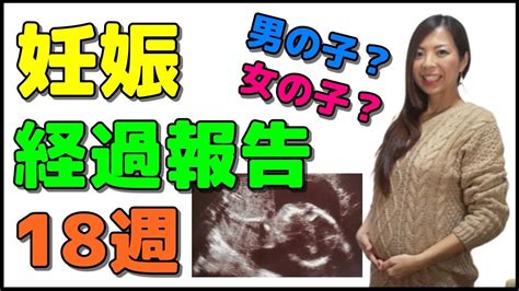 【妊娠18週】ついに性別確定？！妊娠経過報告！エコーで確認！【高齢出産】 Youtube